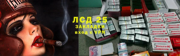PSILOCYBIN Балахна