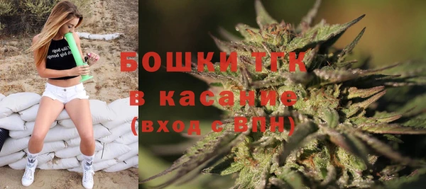 PSILOCYBIN Балахна