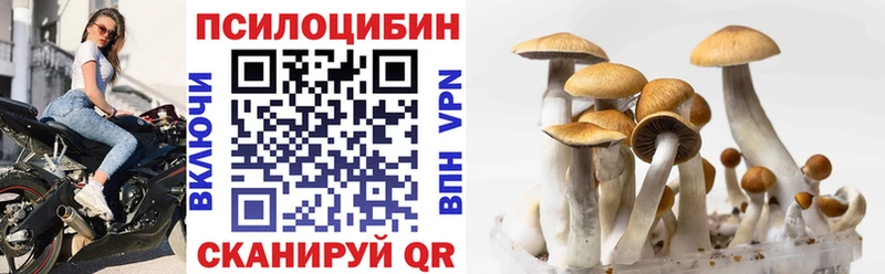 Псилоцибиновые грибы Magic Shrooms  купить закладку  Светлоград 