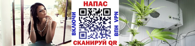 omg рабочий сайт  Светлоград  Канабис OG Kush 
